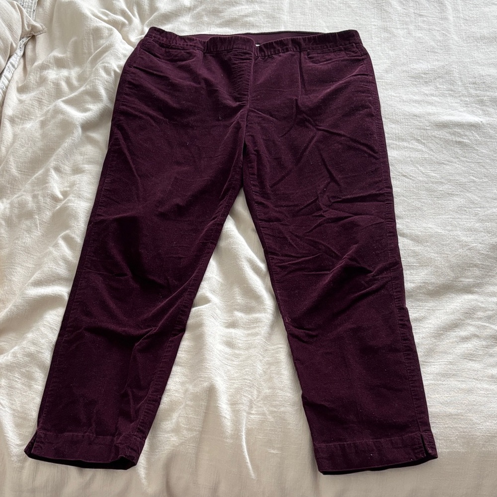 J. Jill Rich Burgundy Pants